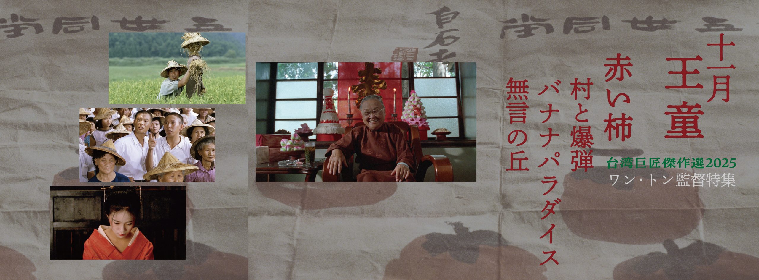 cinema203今月の上映作品